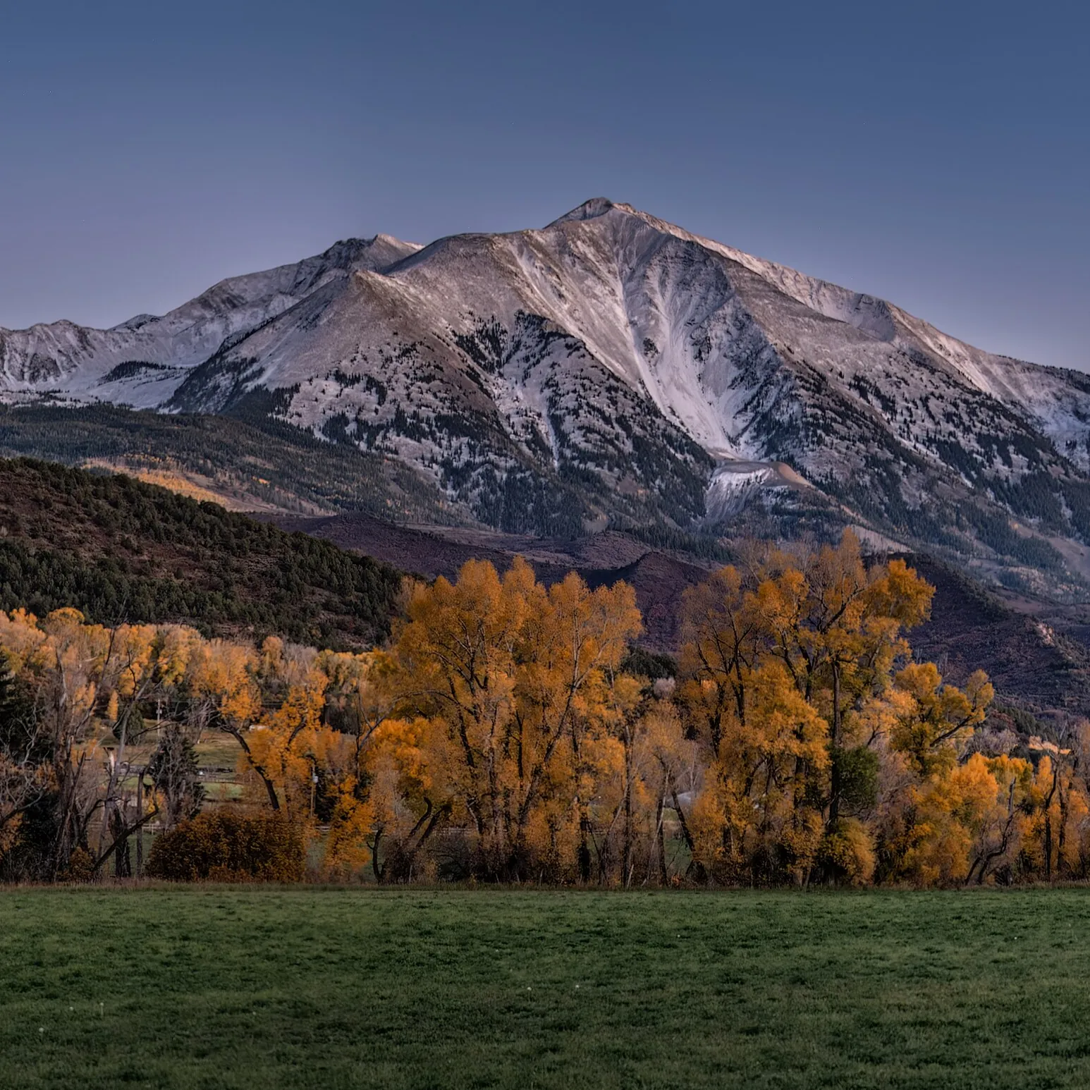 Mount Sopris in fall, with golden cottonwoods in front of it