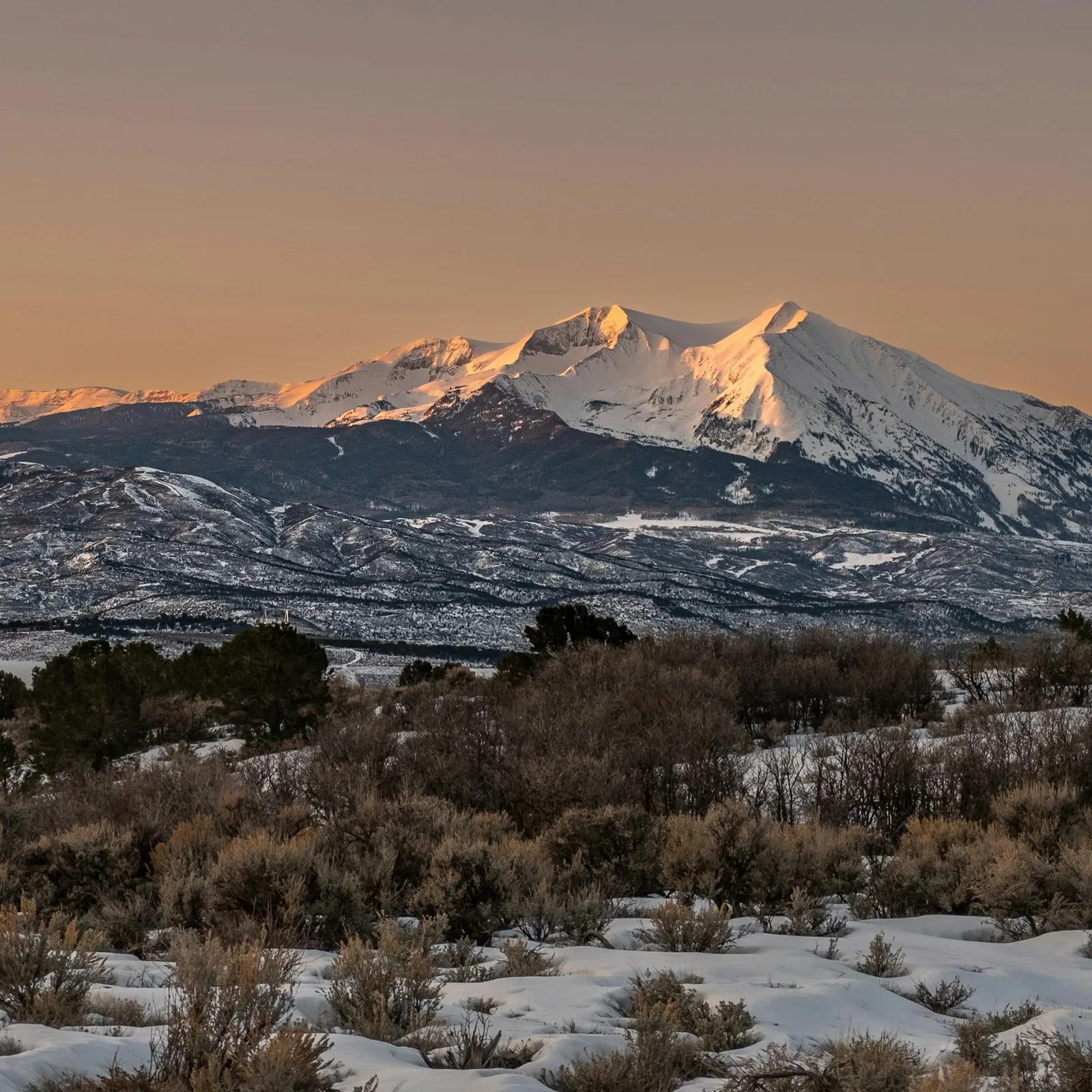 Mount Sopris at sunrise in winter, above snowy sagebrush near Carbondale